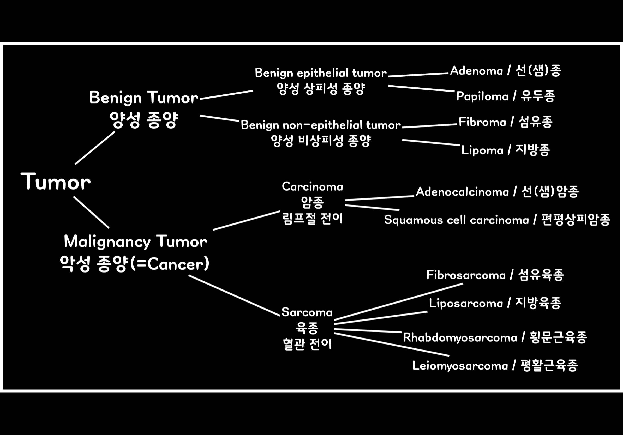 양성종양 악성종양의 분류