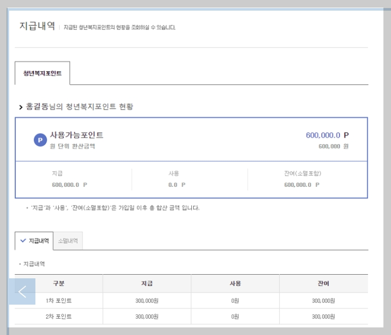 경기청년복지포인트