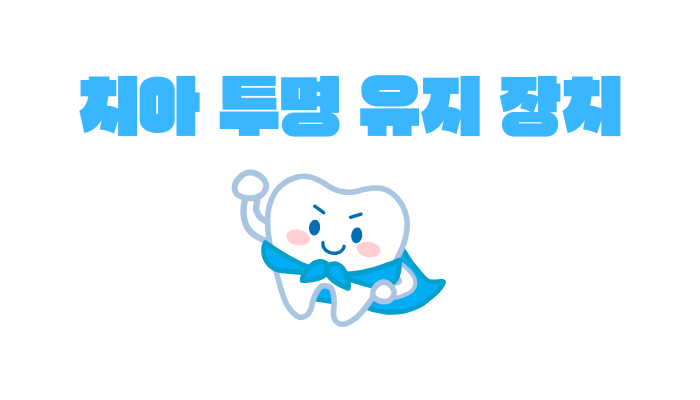 치아 투명 유지 장치 가격 완벽 정리