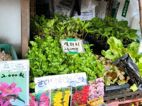 제일농약사 이미지