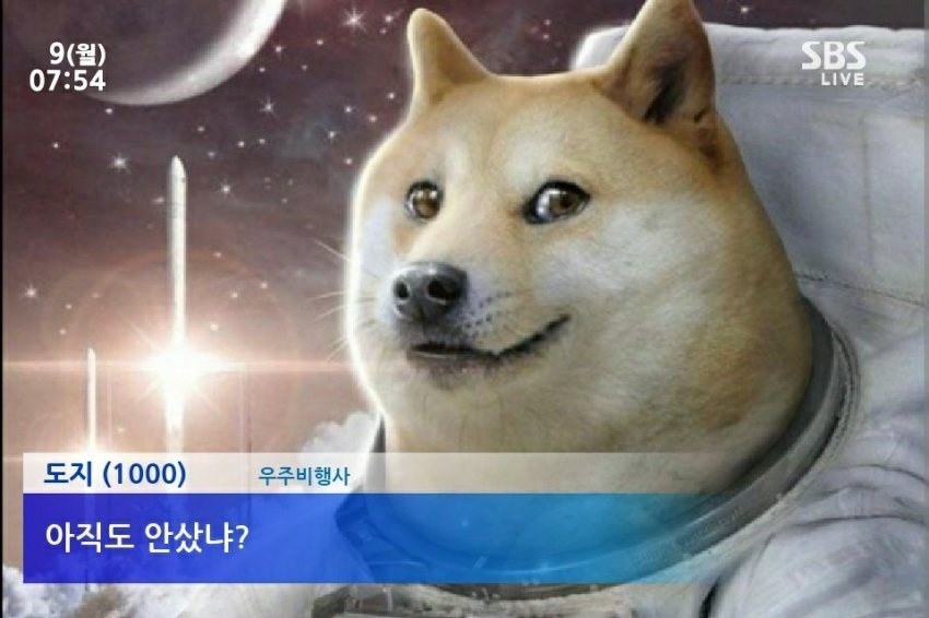  도지코인