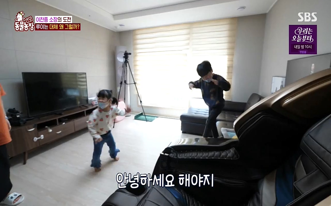 TV 동물농장.E1068.220509p-NEXT.mp4_20220508_173812.998.jpg