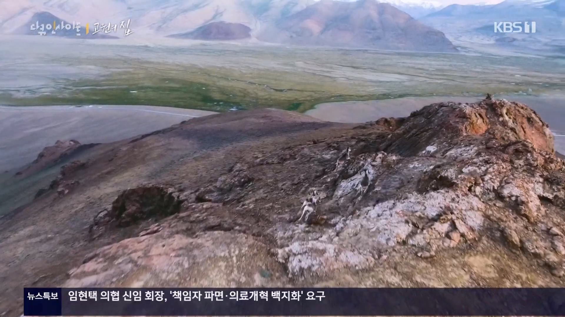 다큐 인사이트.E176.240328p.H264-F1RST.mp4_20240330_162531.697.jpg