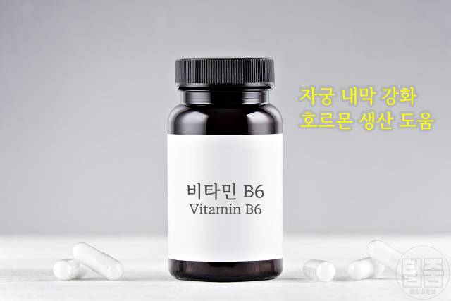 자궁에 좋은 영양제 비타민b6 추천