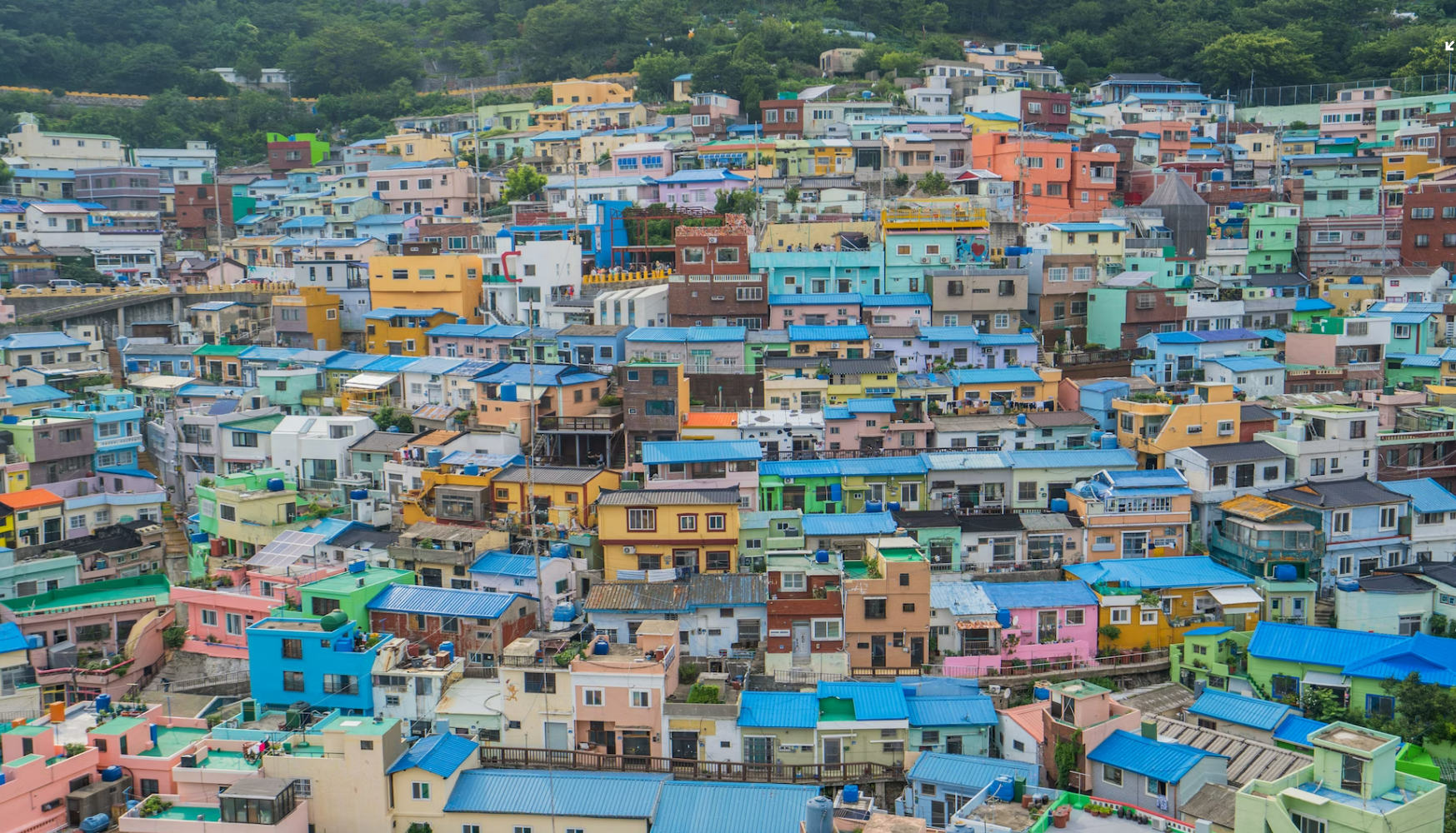  부산유명 음식 5가지
