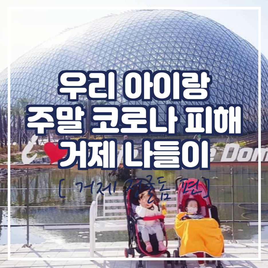  Nice PaPa에 우리 아이랑 주말 코로나 피해 거제 나들이 [ 거제 정글돔 편]