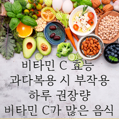 비타민 C 효능 부작용 비타민 C가 많은 음식