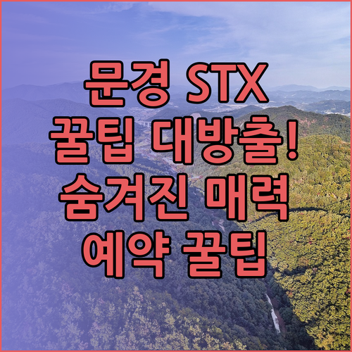 문경 STX리조트 꿀팁 대방출! 숨겨