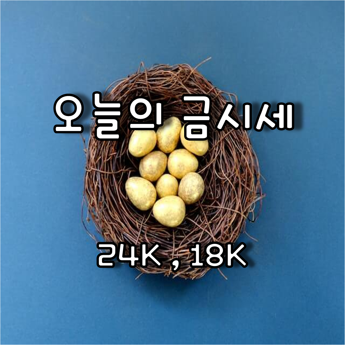 새집에 있는 금알