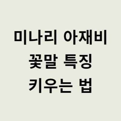 미나리 아재비 꽃말 특징 키우는 법