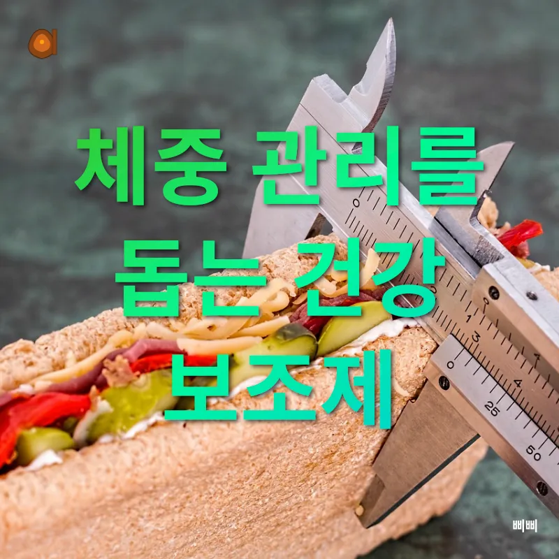 건강한 체중 관리_3