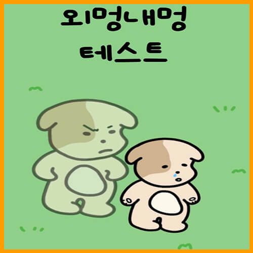  초간단 외유내강 외강내유 테스트, 외멍내멍 테스트