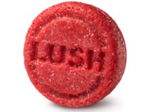 Lush 샴푸 바