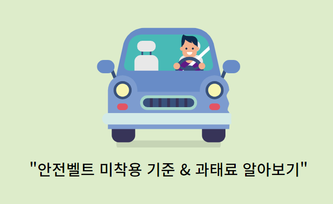 안전벨트-미착용기준