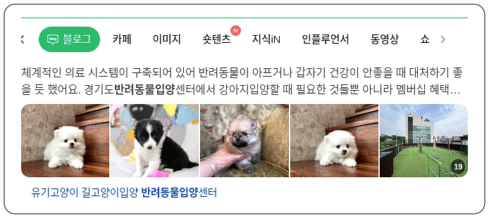 반려동물 입양_1_subsection