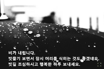 검은 우산에 맺혀 있는 빗방울