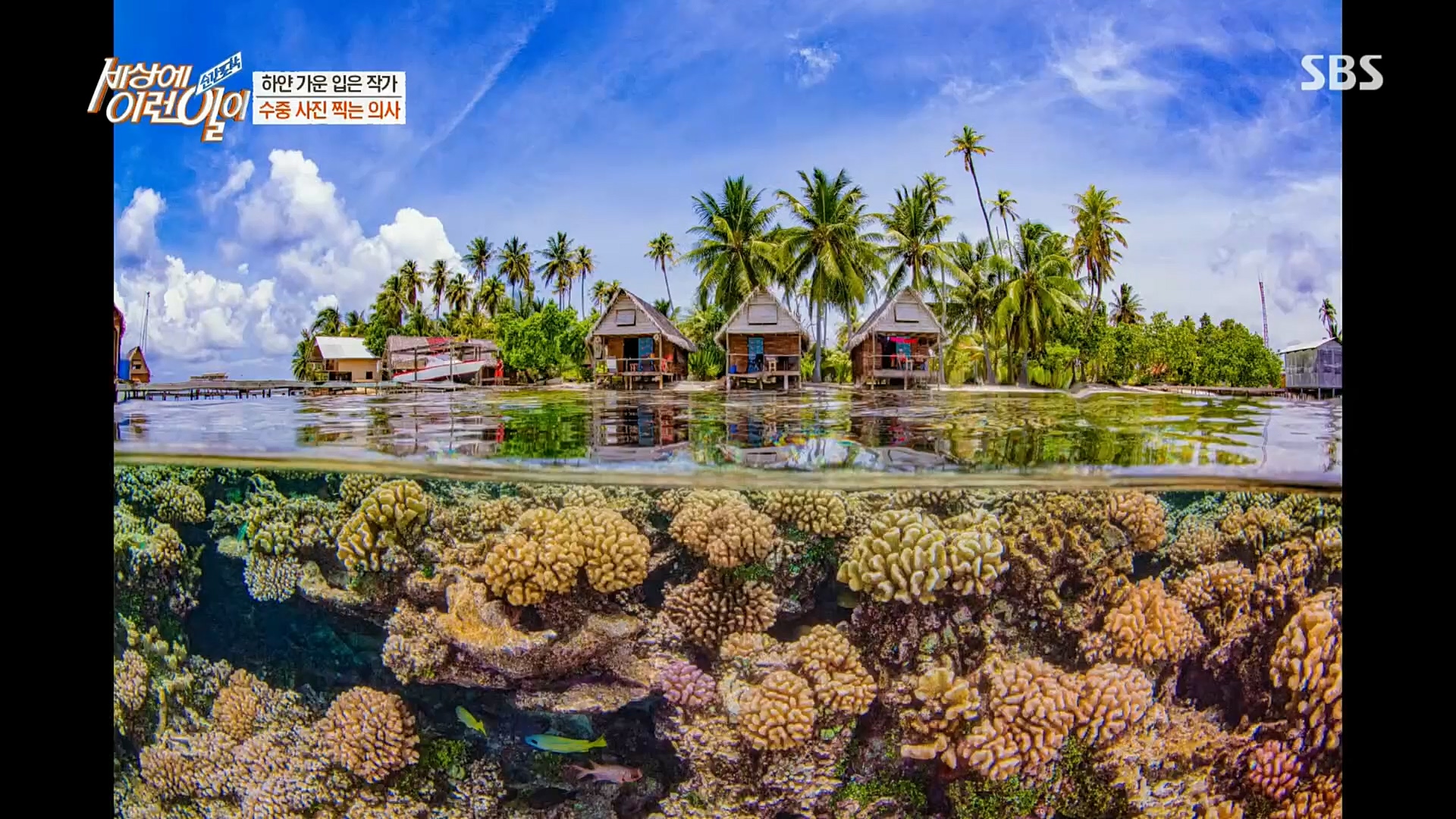 순간포착 세상에 이런일이.E1206.221115p.H264-F1RST.mp4_20221118_195833.024.jpg