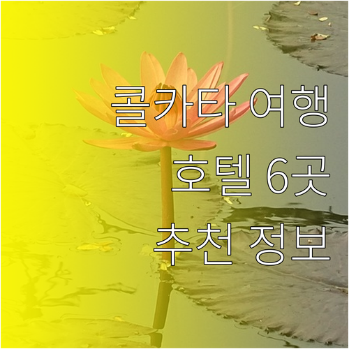 콜카타 여행 필수 정보 공항 근처 호