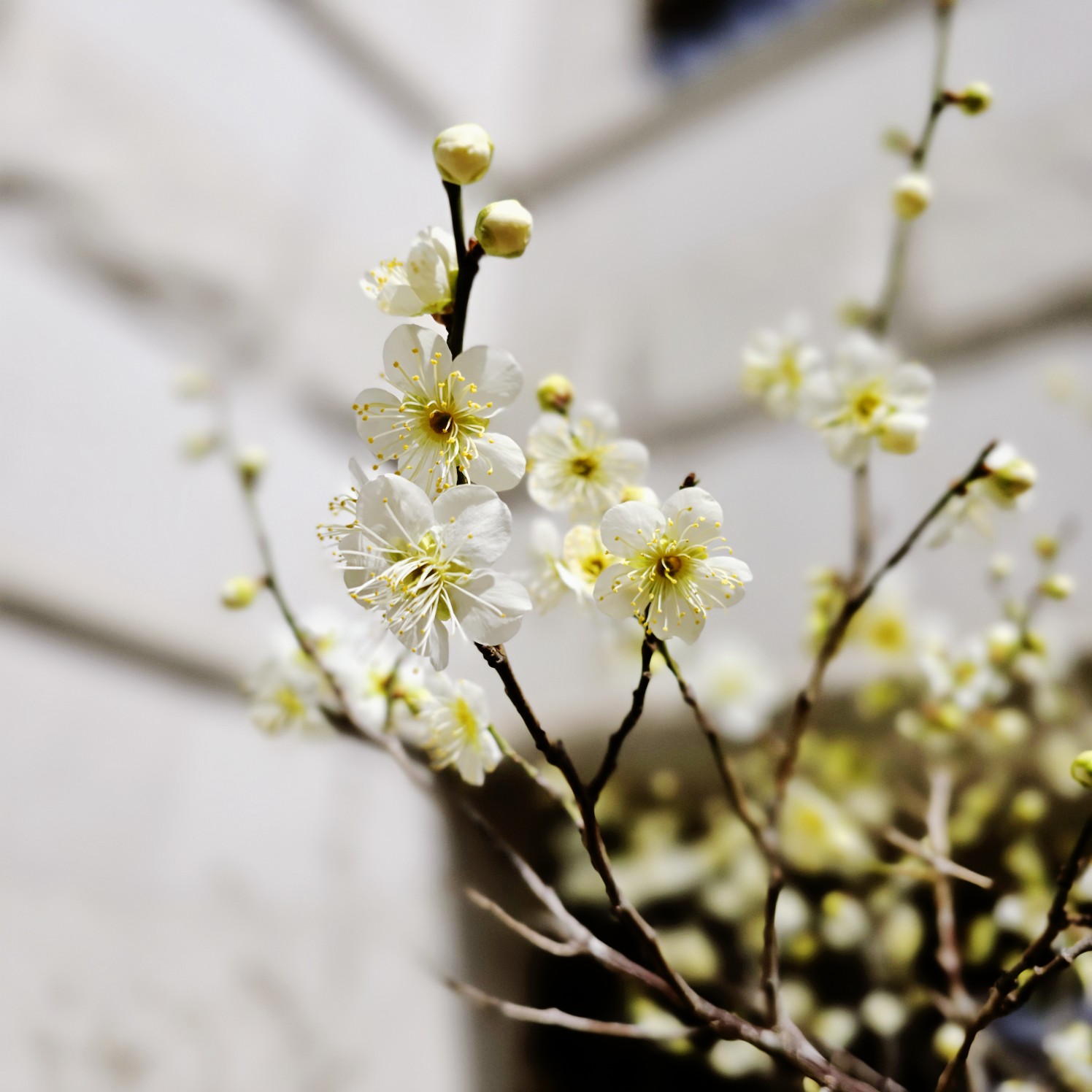 하이닉스(주) 이미지