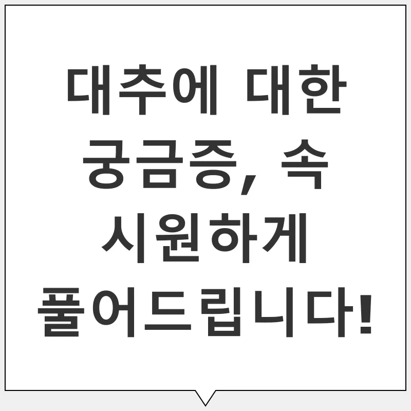 대추의 효능_4