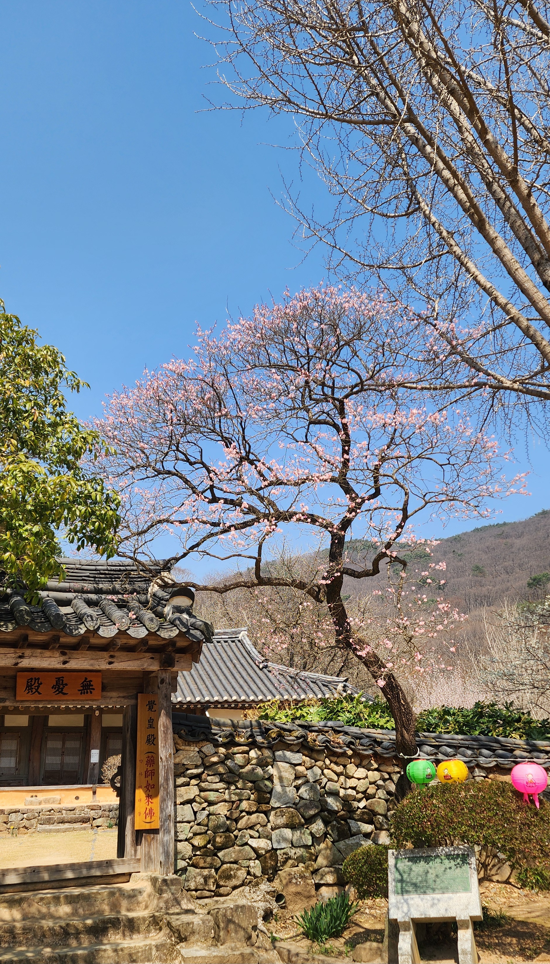 선암사 이미지