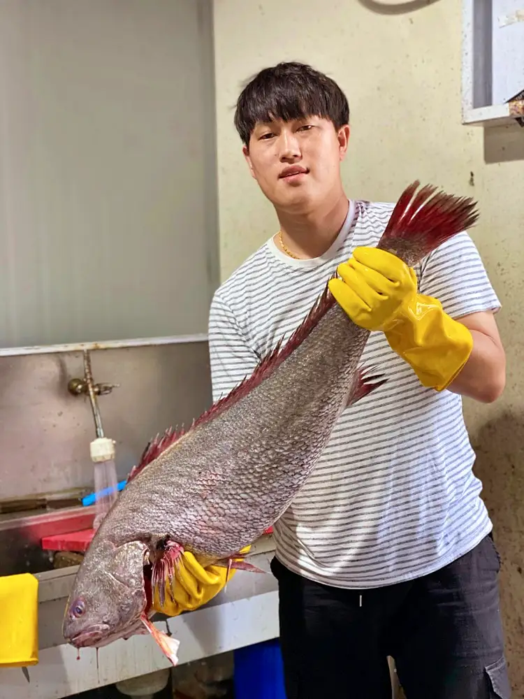 진도 쏠비치 대명리조트 배달 맛집 자연산 전문 여름 보양식 민어와 귀한 생선 붉바리 맛있는 횟집