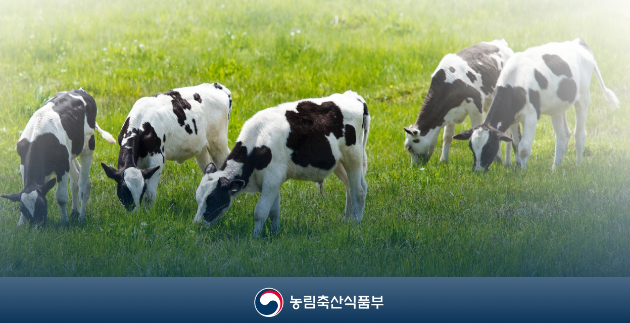  원유가격연동제와 우유쿼터제를 알아야 우유값이 보인다