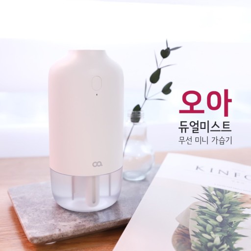  건조한 날씨의 필수아이템!저렴하고 가성비 좋은 미니 가습기 BEST 5!