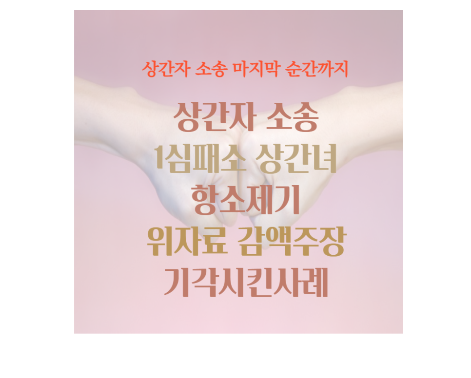  상간녀 항소를 기각시킨 사례