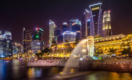 싱가포르 법인 홍콩 법인 장점과 단점