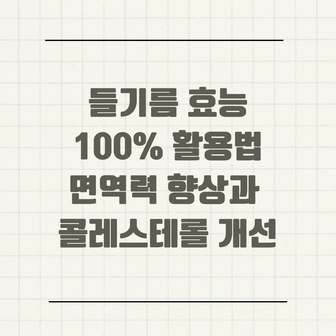 들기름 효능 100% 활용법 면역력 향상과 콜레스테롤 개선