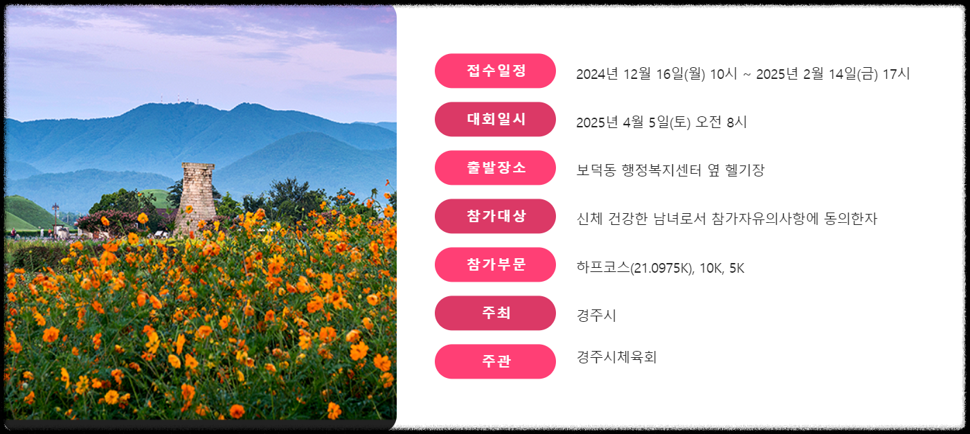 2025 경주벚꽃마라톤대회 일정, 신청, 코스, 준비물 완벽정리! 벚꽃길을 달리는 설렘!