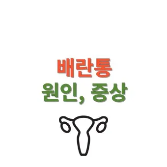 배란통 증상 및 시기 원인_8