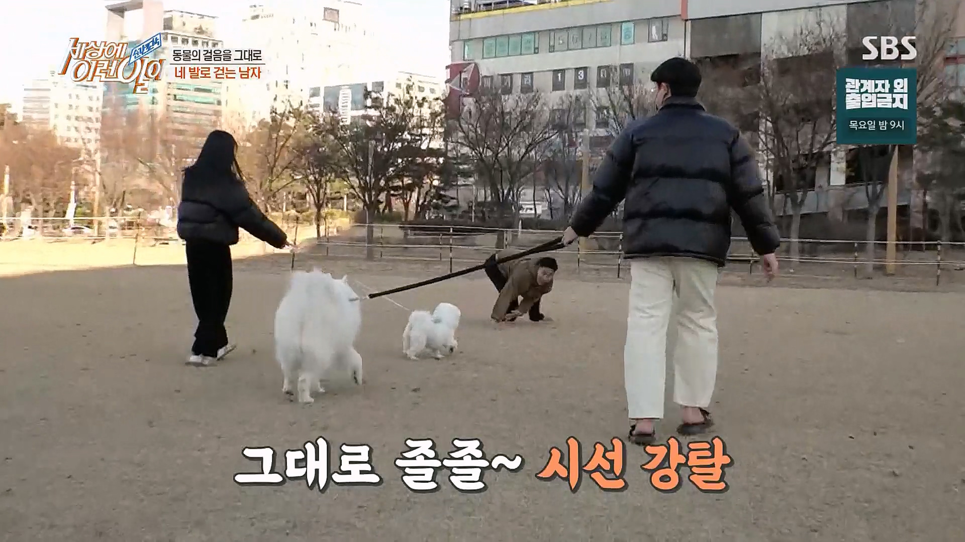 순간포착 세상에 이런일이.E1213.230110p.H264-F1RST.mp4_20230111_194923.181.jpg