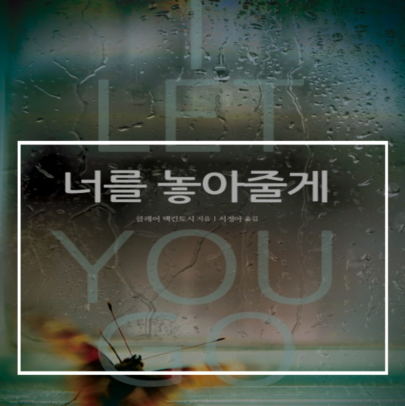  너를 놓아줄게(줄거리/결말/후기):경찰 출신 작가의 실제사건 모티브 스릴러
