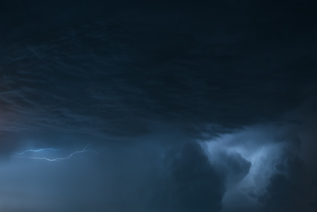 Forecast