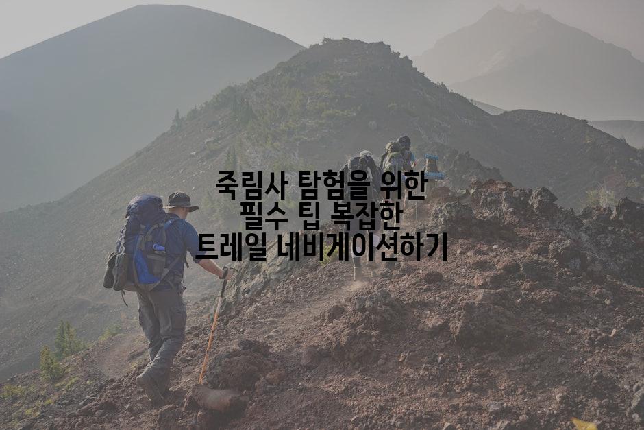 죽림사 탐험을 위한 필수 팁 복잡한 트레일 네비게이션하기