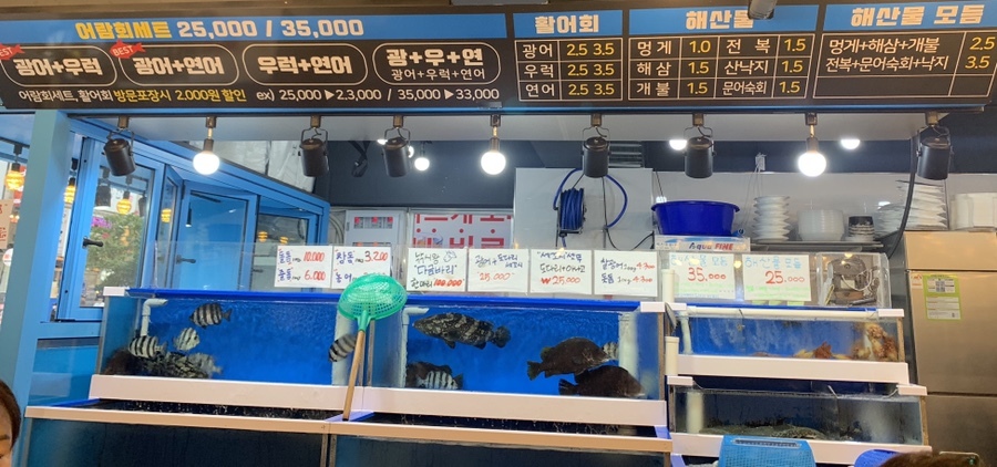 어람 이미지