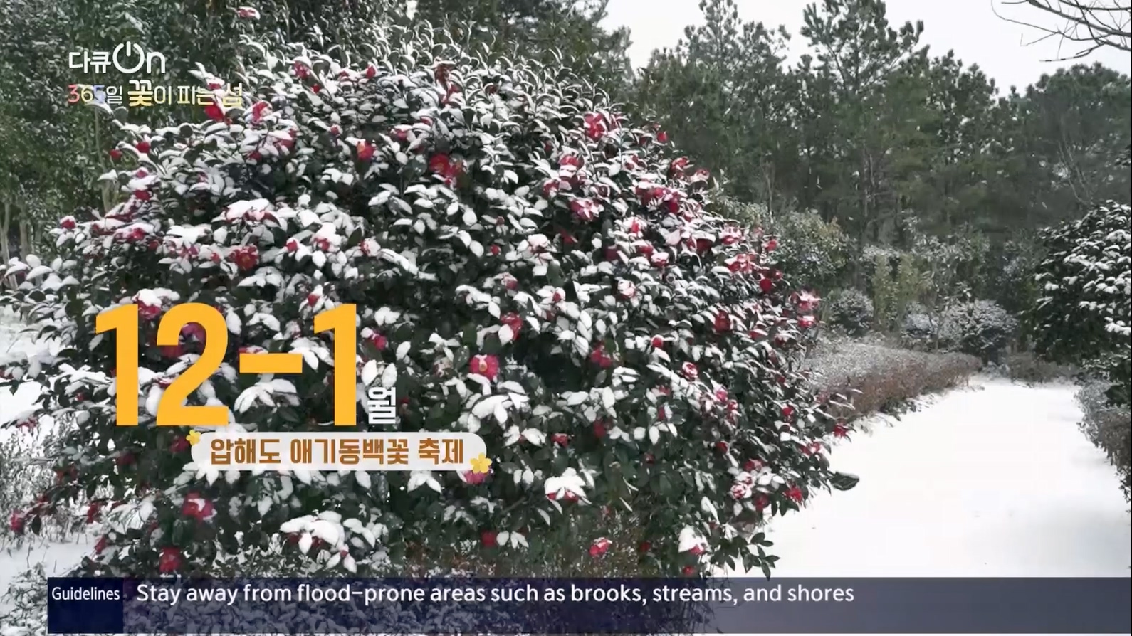 다큐 On.E201.230610p.H264-F1RST.mp4_20230611_164631.334.jpg