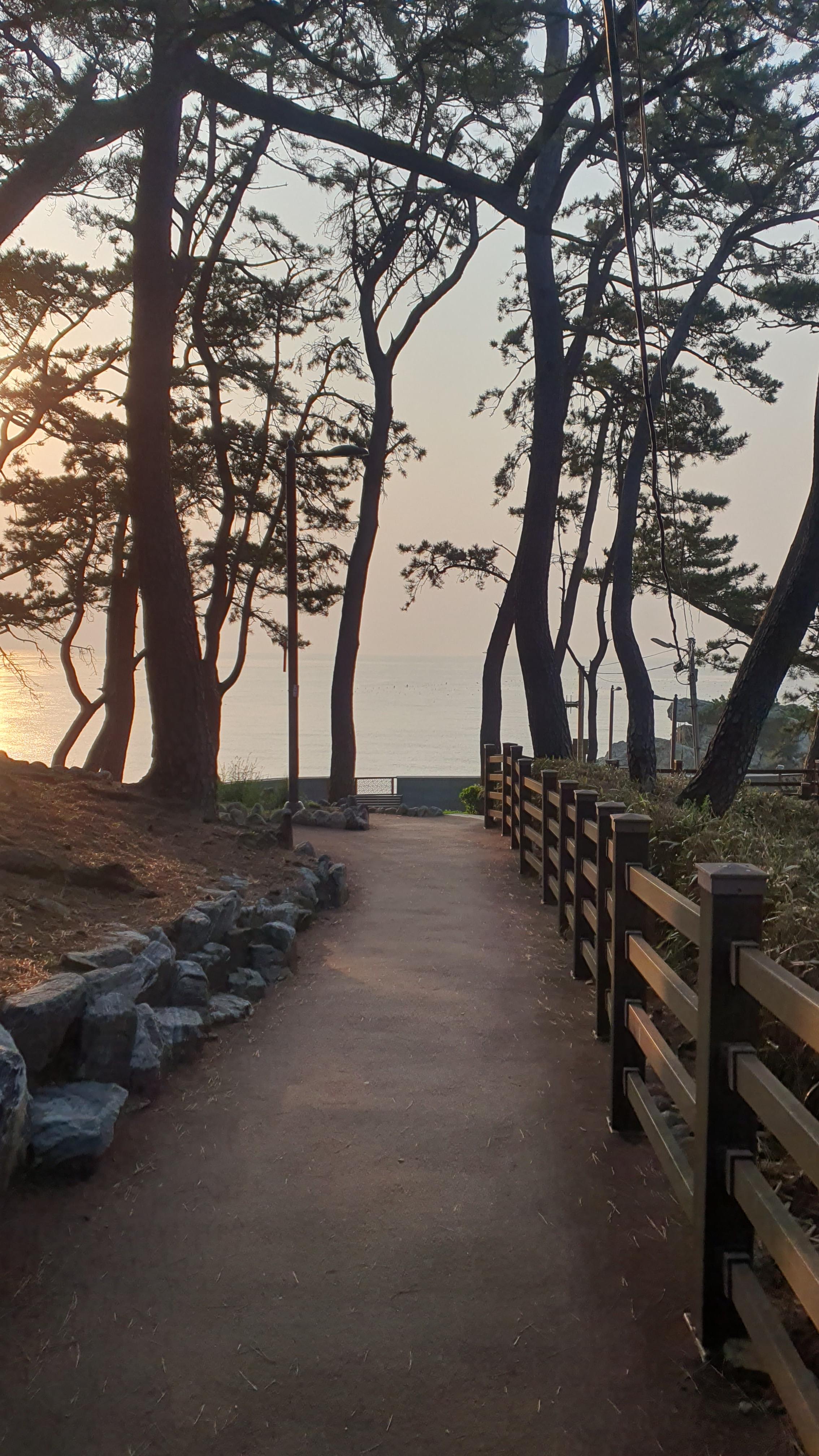 송정해수욕장 라온 호텔, 죽도공원