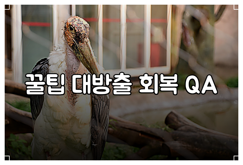꿀팁 대방출 회복 QA