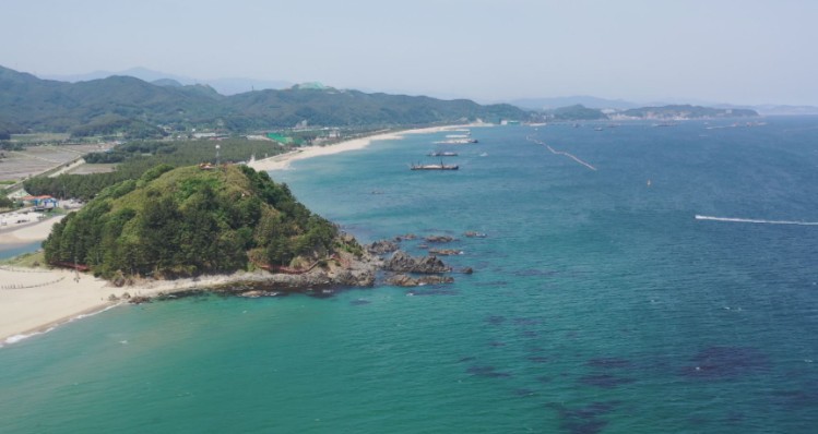 한국기행-삼척-고포마을-수호목-고포미역