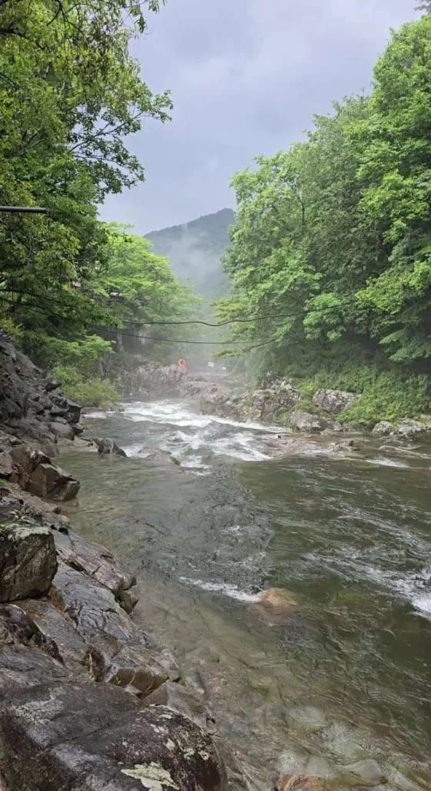 달궁계곡