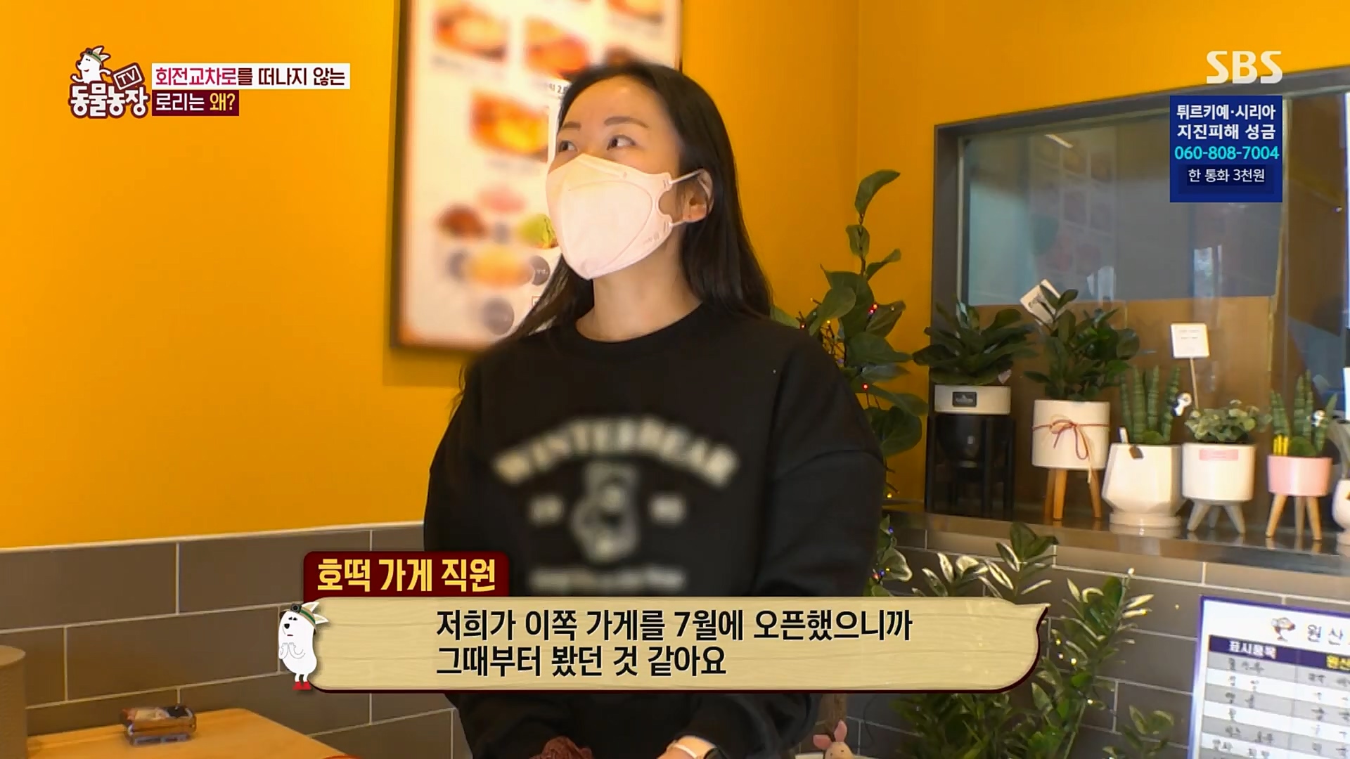 TV 동물농장.E1109.230219p.H264-F1RST.mp4_20230219_142846.668.jpg