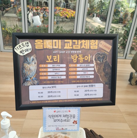  가평 베고니아 새정원 - 아이와 가볼만한 곳 추천&amp;#44; 후기 