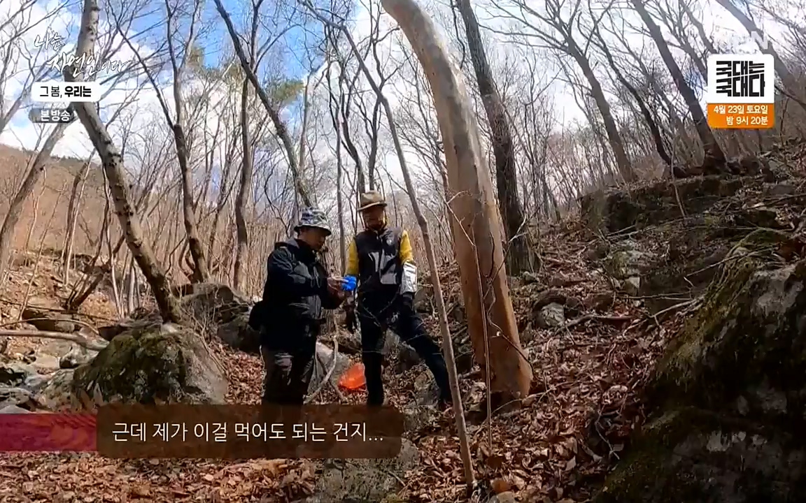 나는 자연인이다.E498.220421p-NEXT.mp4_20220421_184051.163.jpg