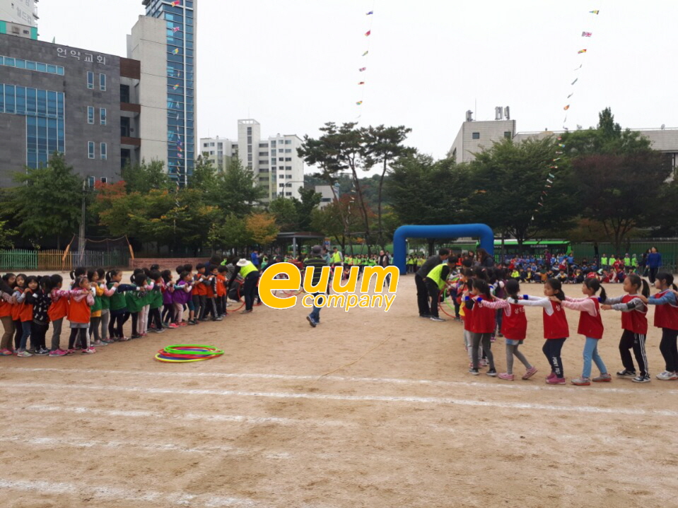  금산 지역 초등학교 운동회 프로그램 진행 전문가와 함께 하세요
