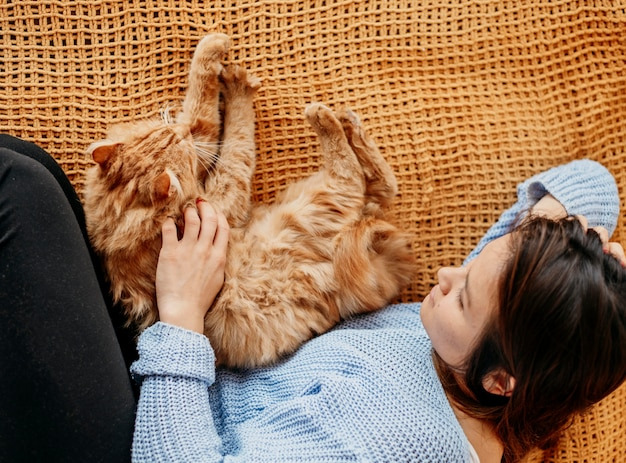 고양이 변비 마사지 방법