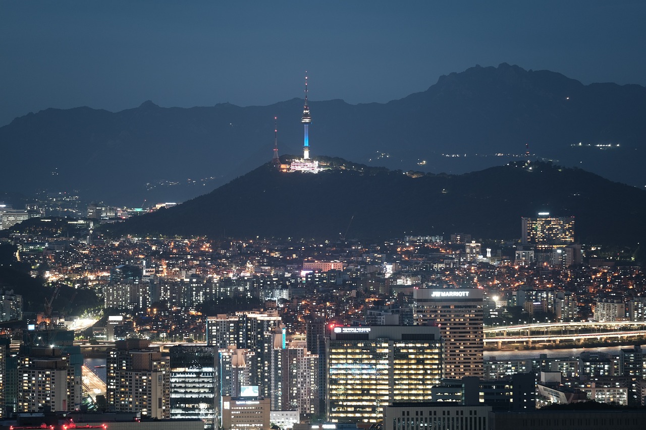 서울 타워 야경