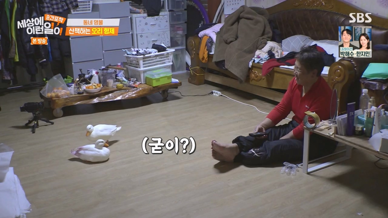 순간포착 세상에 이런일이.E1254.231203p-NEXT.mp4_20231203_140537.523.jpg